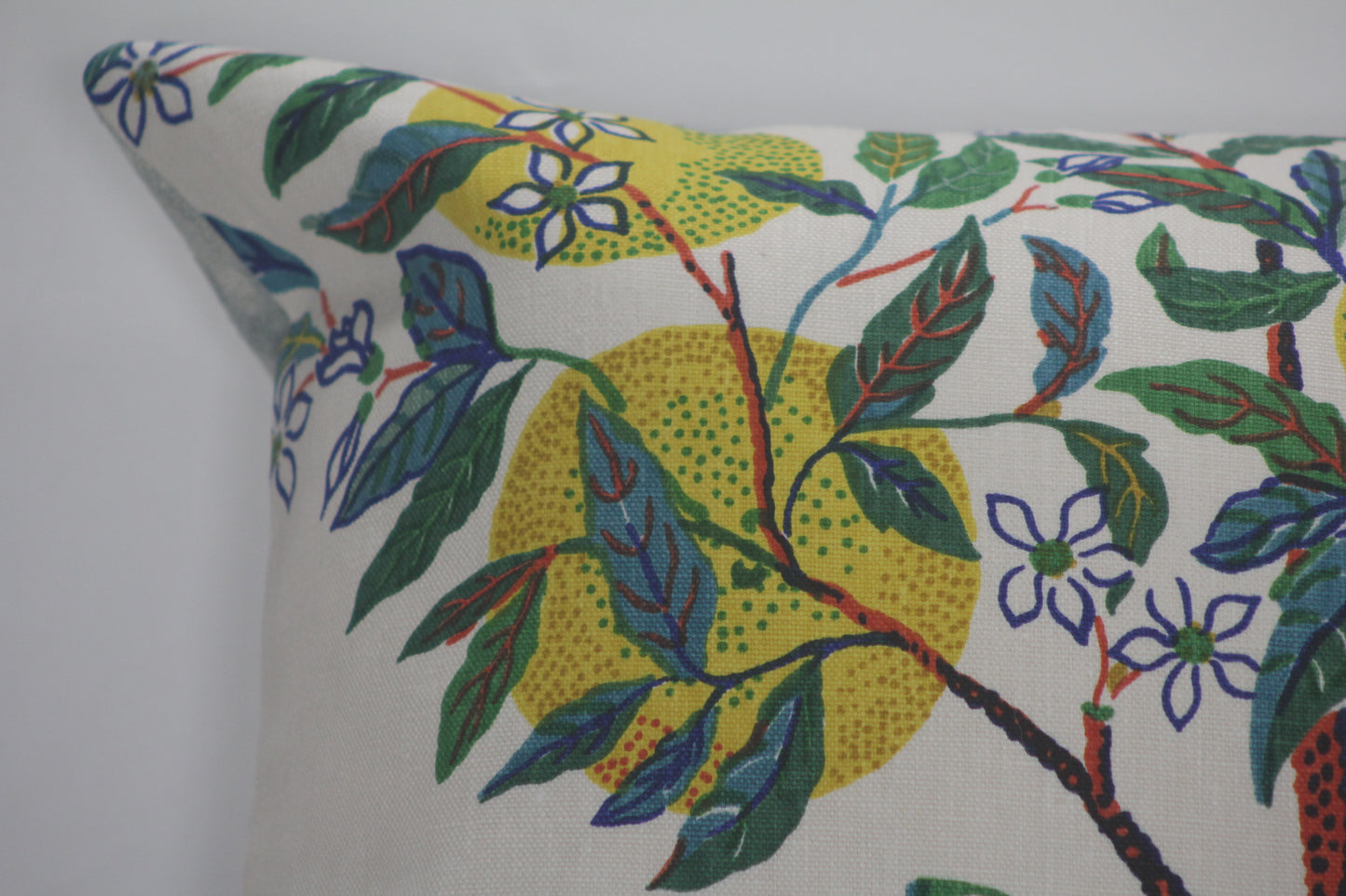 Citrus Garden and Merida Lumber Pillow Cover