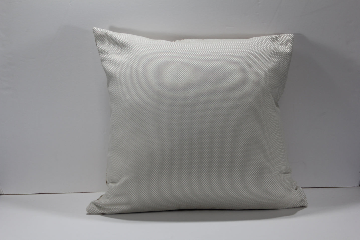 Outdoor fabric on back of 20" pillow cover